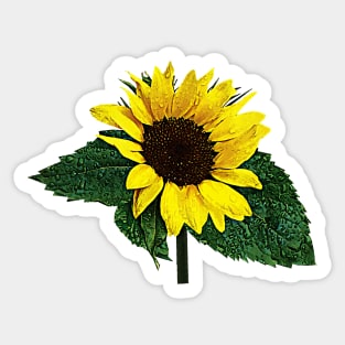 Sunflower in the Rain Sticker